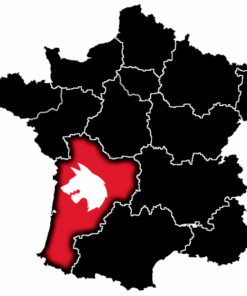 Nuova Aquitania