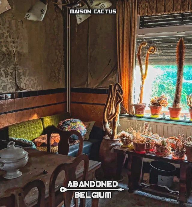 Maison Cactus (Belgium)
💎 Exchange this location ⬇️
🔥www.urbexprime.com🔥
🌎 Get urbex locations 🌎
🔥www.urbexprime.com🔥

#urbex #photography #urbexfrance #lafranceabandonnée #urbexphotography #france #urbexworld #abandoned #photooftheday #abandonedplaces #streetart #art #france #picoftheday #graffiti #urban #photo #photographer #urbanexploration #instagood #architecture #urbexpeople #streetphotography #shooting #street #decay #travel #urbex_supreme #lostplaces